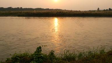 日落宁静的河夏天太阳反映平静水绿色海岸奇旺国家Safari公园尼泊尔毡帽首页孟加拉老虎鳄鱼印度犀牛大象
